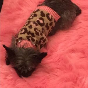 Meet your Posher, Jara